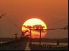Six o'clock sunset I
(Klik om te vergroten) Six o'clock sunset I