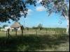 Rancho
(Klik om te vergroten) Rancho