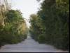 You don't need a steeringwheel II
(Klik om te vergroten) You don't need a steeringwheel II
