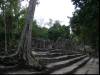 Cobá, La Eglisia I.
(Klik om te vergroten) Cobá, La Eglisia I.