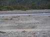 The River Deep
(Klik om te vergroten) The River Deep