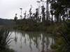 Lake Whataroa
(Klik om te vergroten) Lake Whataroa