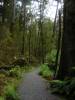 The footpath around the lake