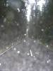 On the very wet road to Haast
(Klik om te vergroten) On the very wet road to Haast