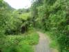 Karangahake kloof
(Klik om te vergroten) Karangahake kloof