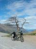 And the wind blows.......Crown Range Pass
(Klik om te vergroten) And the wind blows.......Crown Range Pass