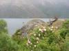 Lake Wakatipu I
(Klik om te vergroten) Lake Wakatipu I