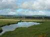 On the road to Te Anau II