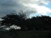 Where the wind blows
(Klik om te vergroten) Where the wind blows