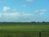 dot.sheep
(Klik om te vergroten) dot.sheep