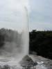 Lady Knox Geyser
(Klik om te vergroten) Lady Knox Geyser