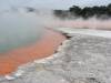 Champagne pool