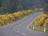 The Yellow roads
(Klik om te vergroten) The Yellow roads