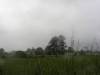 A very rainy day
(Klik om te vergroten) A very rainy day