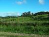 Green Hills
(Klik om te vergroten) Green Hills