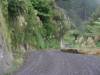 The Gravel road
(Klik om te vergroten) The Gravel road