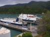 The two ferry companies
(Klik om te vergroten) The two ferry companies