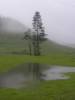 Very rainy II
(Klik om te vergroten) Very rainy II