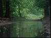 R10 in the rain I
(Klik om te vergroten) R10 in the rain I