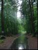 R10 in the rain II
(Klik om te vergroten) R10 in the rain II