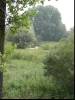 Park Krajobrazowy
(Klik om te vergroten) Park Krajobrazowy