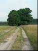 Road to Trezbule
(Klik om te vergroten) Road to Trezbule
