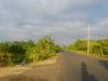 In the morning
