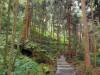 Boardwalk
(Klik om te vergroten) Boardwalk