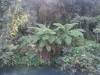 Wandeling langs Sun Moon Lake
(Klik om te vergroten) Wandeling langs Sun Moon Lake