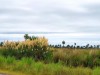   Uruguay