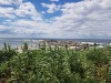  Punta del Diablo Uruguay