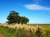   Uruguay