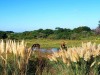  Las Flores Uruguay