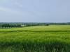  Nottuln Germany