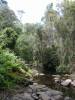 Blou Duiker Wandelpad
(Klik om te vergroten) Blou Duiker Wandelpad