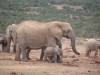 With a little one
(Klik om te vergroten) With a little one