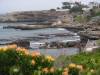 Harmanus coast in the morning
(Klik om te vergroten) Harmanus coast in the morning